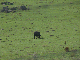 L1060588
