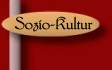 Gesellschaftliche Auswirkungen im sozio-kulturellen  Kontext