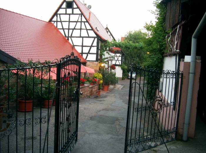 IMGP2721.JPG